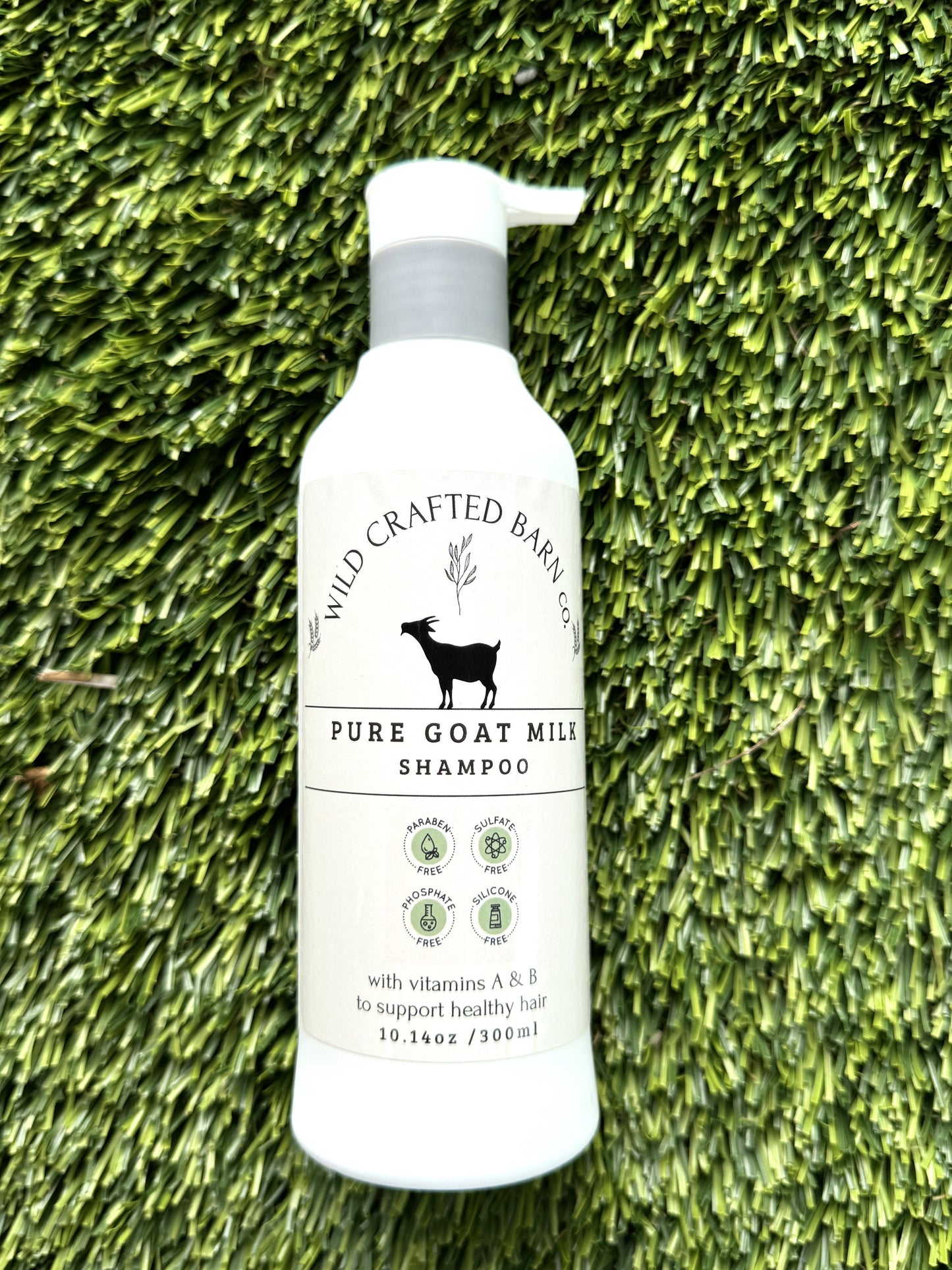 True Goat Milk Shampoo 12 oz